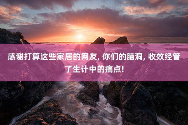 感谢打算这些家居的网友, 你们的脑洞, 收效经管了生计中的痛点!