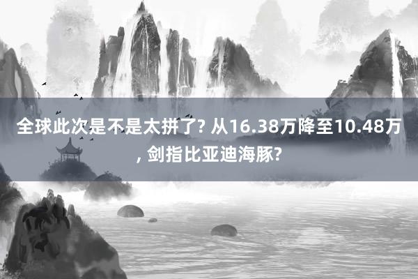 全球此次是不是太拼了? 从16.38万降至10.48万, 剑指比亚迪海豚?