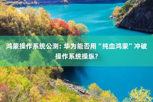 鸿蒙操作系统公测: 华为能否用“纯血鸿蒙”冲破操作系统操纵?