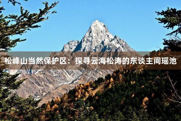松峰山当然保护区：探寻云海松涛的东谈主间瑶池