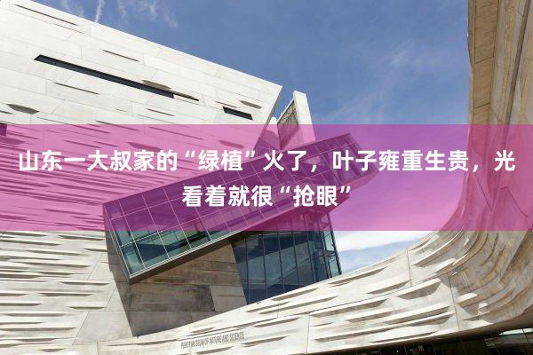 山东一大叔家的“绿植”火了，叶子雍重生贵，光看着就很“抢眼”