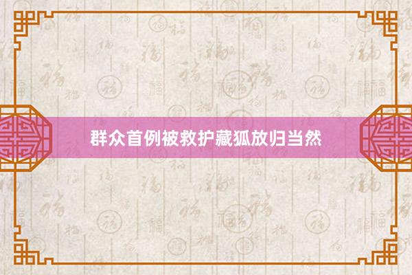 群众首例被救护藏狐放归当然
