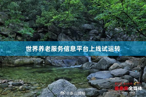 世界养老服务信息平台上线试运转